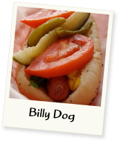 Billy Dog